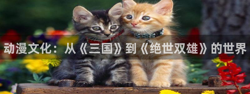 奇漫屋漫画在线阅读:动漫文化:从《三国》到《绝世双雄》的世界配图
