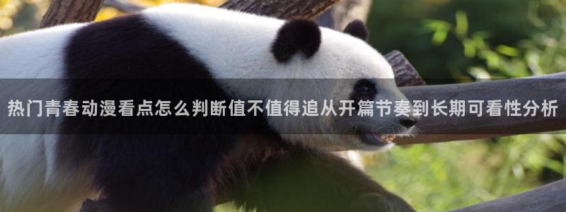 奇漫屋首页:热门青春动漫看点怎么判断值不值得追从开篇节奏到长期可看性分析配图