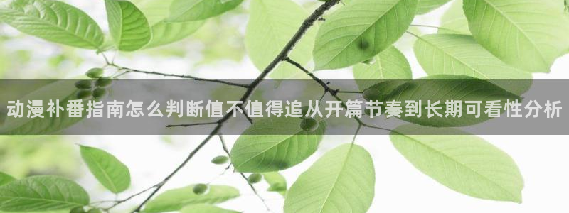 奇漫屋漫画最新更新:动漫补番指南怎么判断值不值得追从开篇节奏到长期可看性分析配图