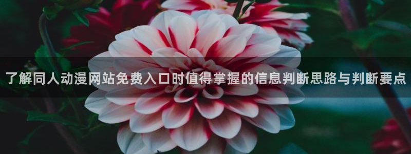 奇漫屋官网:了解同人动漫网站免费入口时值得掌握的信息判断思路与判断要点配图