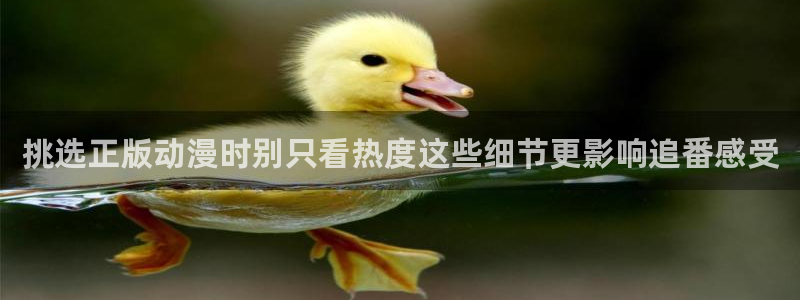 奇漫屋漫画手机免费阅读:挑选正版动漫时别只看热度这些细节更影响追番感受配图