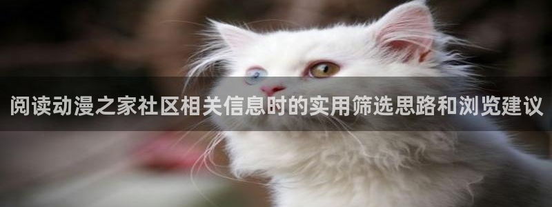 奇漫屋漫画官网入口:阅读动漫之家社区相关信息时的实用筛选思路和浏览建议配图