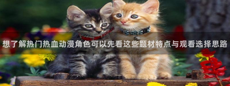 2026奇漫屋免费阅读:想了解热门热血动漫角色可以先看这些题材特点与观看选择思路配图